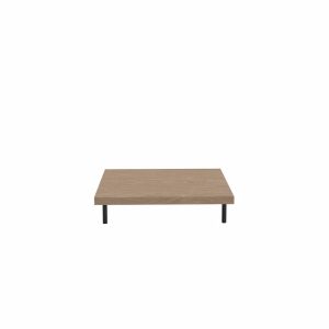 TABLE 100x100